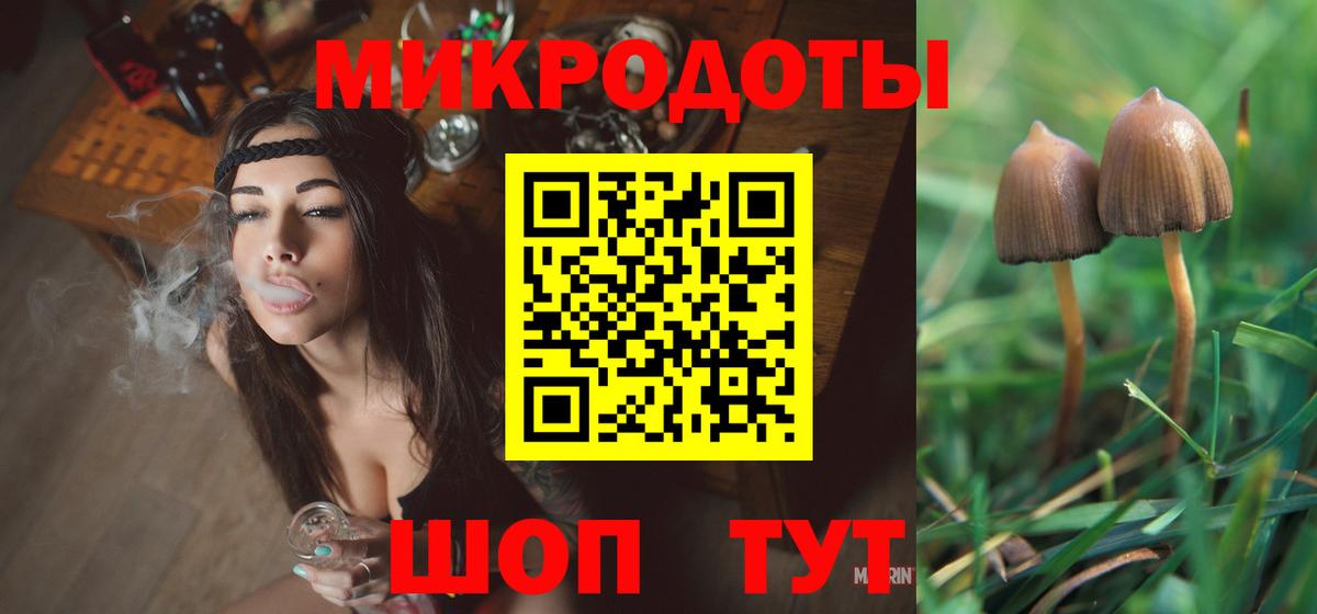 Псилоцибиновые грибы Psilocybe Ликино-Дулёво